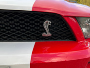 MUSTANG SHELBY 